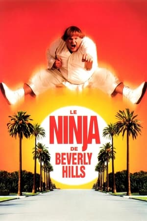 Le Ninja de Beverly Hills - Beverly Hills Ninja (1997)