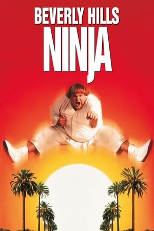 Ninja din Beverly Hills - Beverly Hills Ninja (1997)