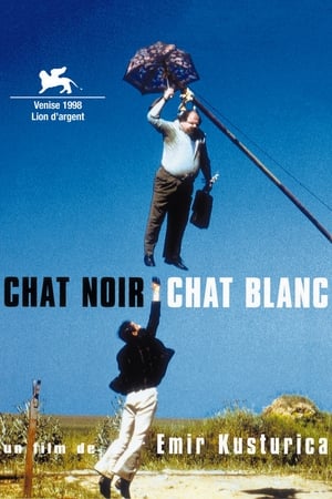 Chat noir, chat blanc - Black Cat, White Cat (1998)
