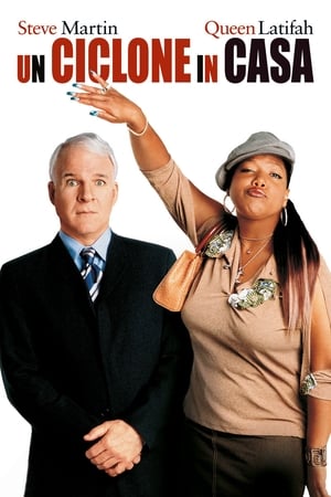 Un ciclone in casa - Bringing Down the House (2003)