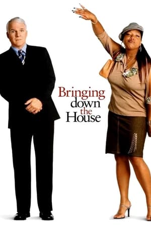 Întoarcerea casei pe dos - Bringing Down the House (2003)