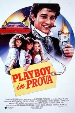 Playboy in prova - Can't Buy Me Love (1987)