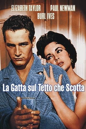La gatta sul tetto che scotta - Cat on a Hot Tin Roof (1958)