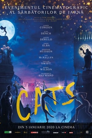 Pisicile - Cats (2019)