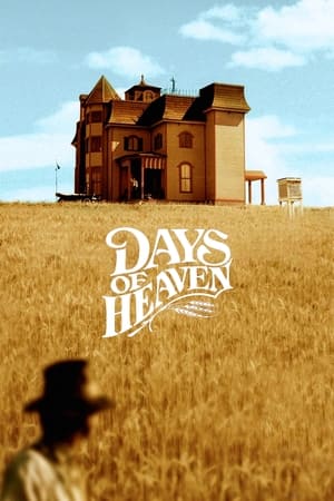 Zile în paradis - Days of Heaven (1978)