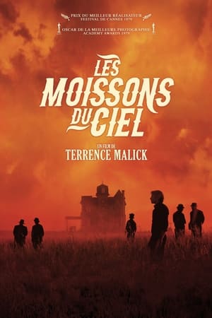 Les Moissons du ciel - Days of Heaven (1978)