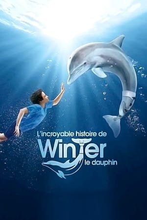 Histoire de dauphin - Dolphin Tale (2011)
