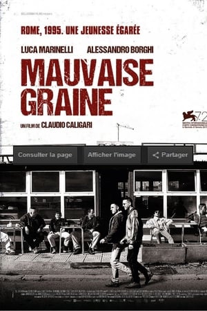 Mauvaise graine - Don't Be Bad (2015)
