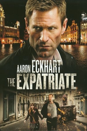 The Expatriate - In fuga dal nemico - Erased (2012)