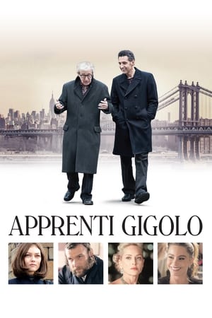 Apprenti gigolo - Fading Gigolo (2013)
