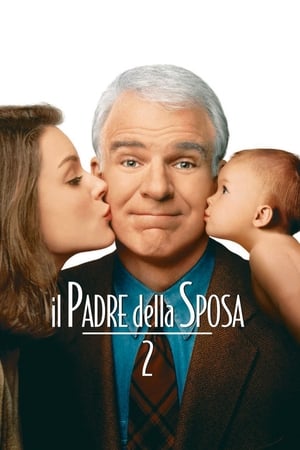 Il padre della sposa 2 - Father of the Bride Part II (1995)
