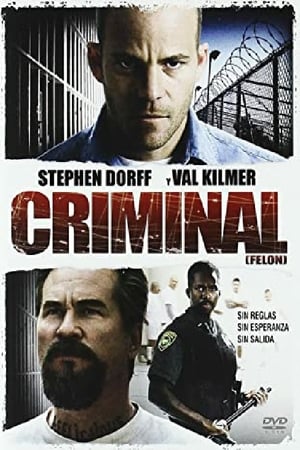 Criminal (Felon) - Felon (2008)