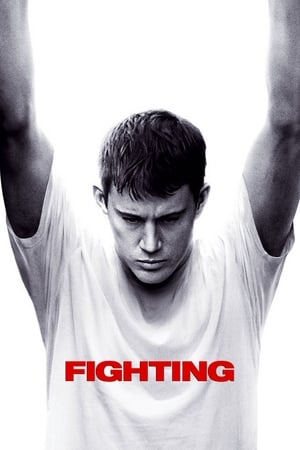 Hai! Ne Batem! - Fighting (2009)