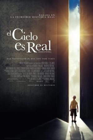 El cielo sí existe - Heaven Is for Real (2014)