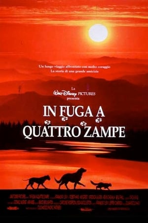 In fuga a quattro zampe - Homeward Bound: The Incredible Journey (1993)