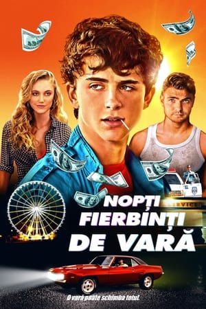Hot Summer Nights (2018)