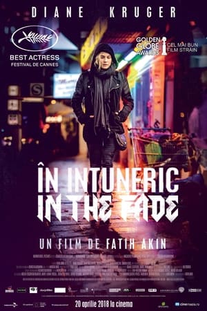 În întuneric - In the Fade (2017)