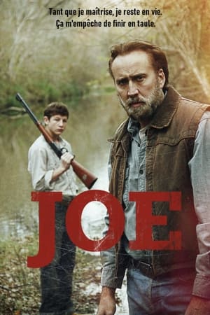 Joe (2014)