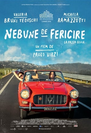 Nebune de fericire - Like Crazy (2016)