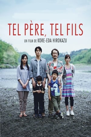 Tel père, tel fils - Like Father, Like Son (2013)