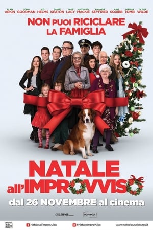 Natale all'improvviso - Love the Coopers (2015)