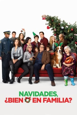 Navidad con los Cooper - Love the Coopers (2015)