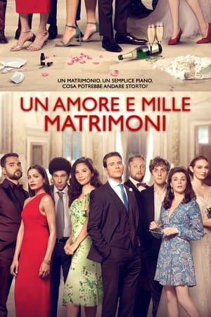 Un amore e mille matrimoni - Love Wedding Repeat (2020)