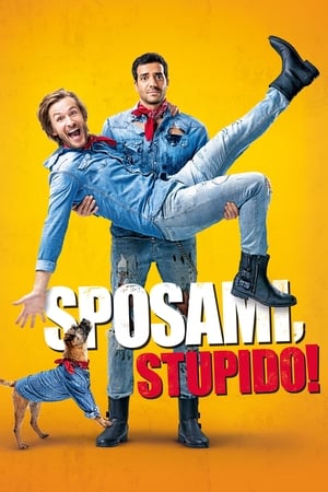 Sposami, stupido! - Marry Me, Dude (2017)