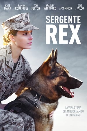 Sergente Rex - Megan Leavey (2017)