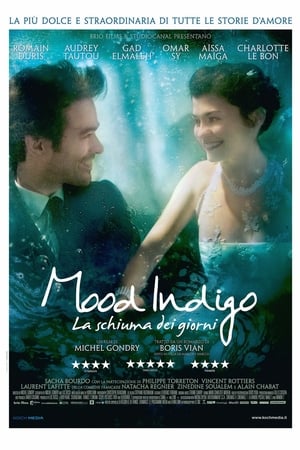Mood Indigo - La schiuma dei giorni - Mood Indigo (2013)
