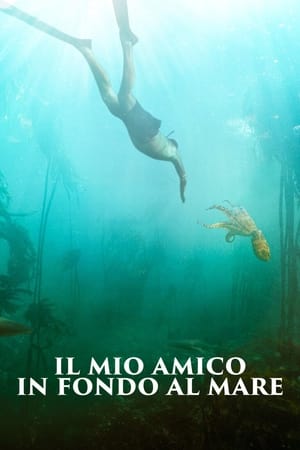 Il mio amico in fondo al mare - My Octopus Teacher (2020)