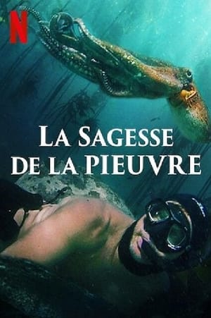 La sagesse de la pieuvre - My Octopus Teacher (2020)