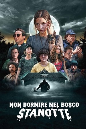 Non dormire nel bosco stanotte - Nobody Sleeps in the Woods Tonight (2020)