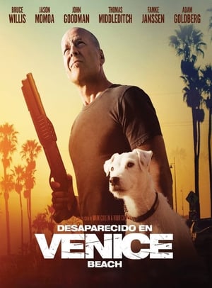Secuestro en Venice - Once Upon a Time in Venice (2017)