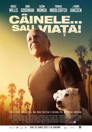 Câinele... sau viața - Once Upon a Time in Venice (2017)