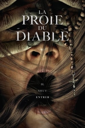 La Proie du Diable - Prey for the Devil (2022)