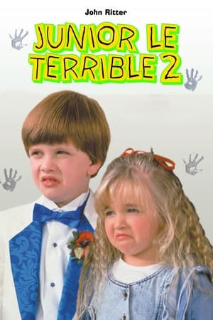 Le Petit Monstre 2 - Problem Child 2 (1991)