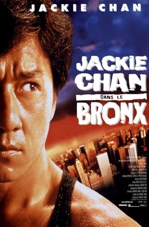 Zizanie dans le Bronx - Rumble in the Bronx (1995)