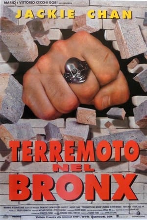 Terremoto nel Bronx - Rumble in the Bronx (1995)