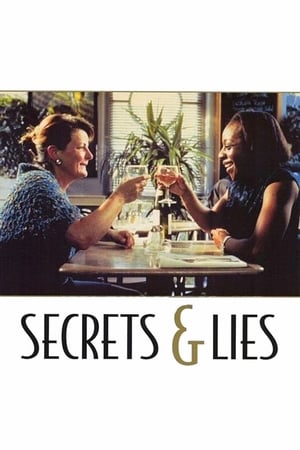 Secrete și minciuni - Secrets & Lies (1996)