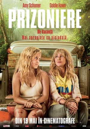 Prizoniere de vacanță - Snatched (2017)