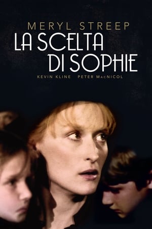 La scelta di Sophie - Sophie's Choice (1982)