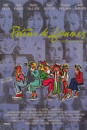 Passions tourmentées - Steel Magnolias (1989)