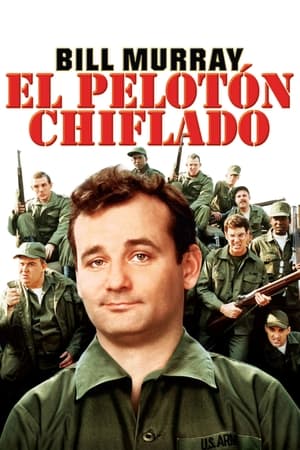 El pelotón chiflado - Stripes (1981)
