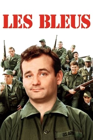 Les Bleus - Stripes (1981)