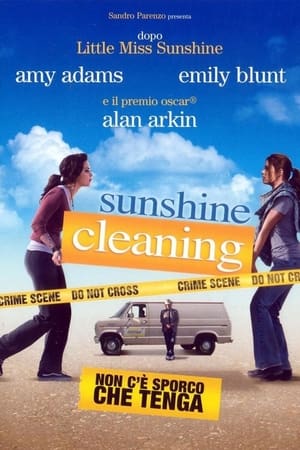 Sunshine Cleaning - Non c’è sporco che tenga - Sunshine Cleaning (2008)