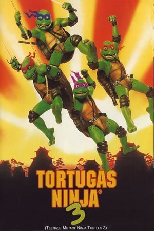 Las Tortugas Ninja III: Viaje al pasado - Teenage Mutant Ninja Turtles III (1993)