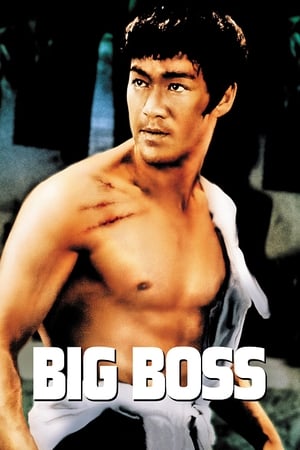Șeful cel mare - The Big Boss (1971)