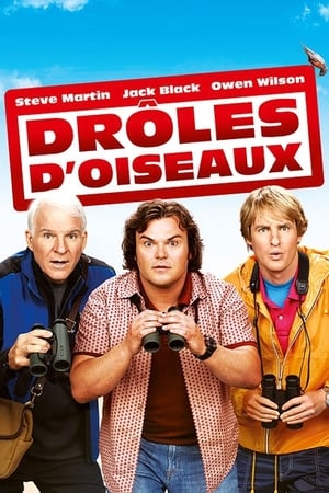 Drôles d'Oiseaux - The Big Year (2011)