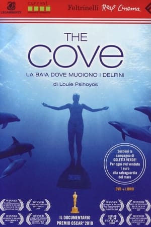 The Cove - La baia dove muoiono i delfini - The Cove (2009)